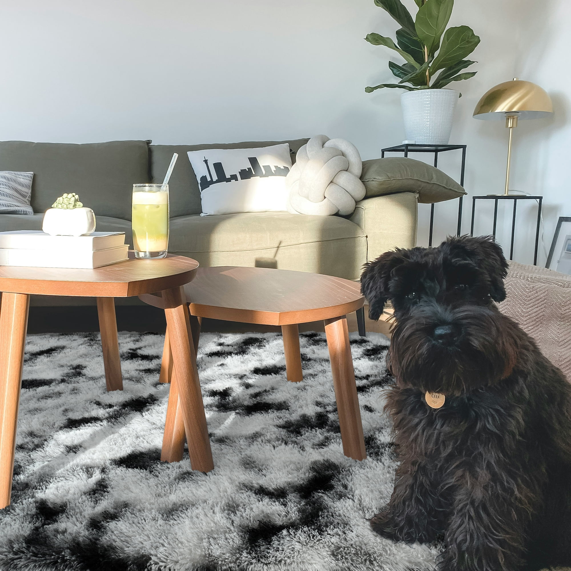 Cydiria Modern Soft Fuzzy Black and White Print Shag Area Rug Fluffy Carpet for Living Room, 6' x 9'