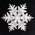 thumbnail image 2 of Bentley, Wilson 26x26 Black Ornate Wood Framed with Double Matting Museum Art Print Titled - Snowflake 990, 2 of 4