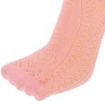 thumbnail image 3 of HAMPPLIES 5Pares Calcetines Para Toddlers De En Colores Surtidos Para Uso Diario, 3 of 6