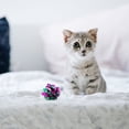 thumbnail image 4 of 6pcs Mylar Crinkle Balls Cat Toys Best Interactive Crinkle Cat Toy Balls Ever Independent Pet Kitten Cat Toys for Fat Real Cats Kittens Exercise (Random Color), 4 of 7