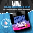 thumbnail image 3 of Animal Creatine Chews – 5g Creatine Monohydrate, Fast-Absorbing, No Mess Powder-Free – Fruit Punch - 30 Count, 3 of 6