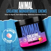 Animal Creatine Chews – 5g Creatine Monohydrate, Fast-Absorbing, No Mess Powder-Free – Fruit Punch - 30 Count