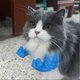 thumbnail image 4 of Creative 3D Printed Giant Hulk Arm Necklace for Pet Cats Hilarious Toy Costume Accessory for Cats & Dogs, 4 of 5