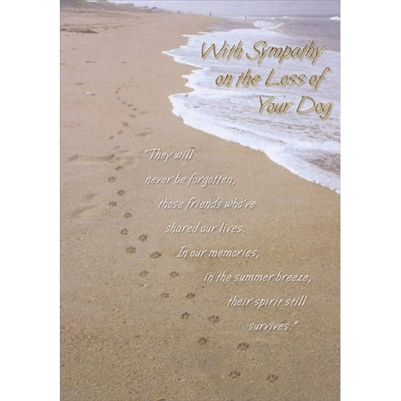 Designer Greetings Dog Paw Prints on Sandy Beach Pet Sympathy Card