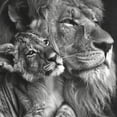 thumbnail image 6 of WYYP Lion Baby Naturalism Round Table Cover 100% Polyester Fiber Full Width Single-Sided Printing White, 6 of 8