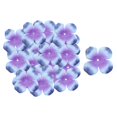 thumbnail image 2 of Paquete De 500 / Juego De De De Seda Flor Niña Asperja Decoración Colcomx  Pétalos de seda de la hortensia, 2 of 8