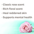 thumbnail image 2 of Plant Therapy Essential Oils Rose Otto 100% Pure, 2 of 4