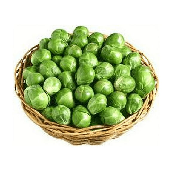 Seed Kingdom Brussel Sprouts Long Island Improved Great Heirloom Vegetable Bulk 1 Lb Seeds