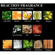Kenneth Cole Reaction Eau de Toilette, Cologne for Men, 0.5 fl oz