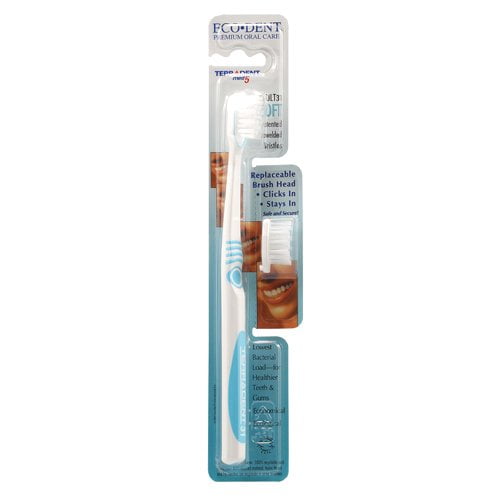 terradent 31 refill