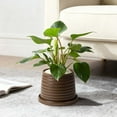 thumbnail image 5 of Better Homes & Gardens 7" x 7" x 5" Round Brown Ceramic Sabrina Plant Planter, 5 of 8