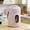 Purple, variant on Mini Electric Pot, 500W Stainless Steel Electric Cooker Portable Ramen Cooker Small Cooking Pot for Dorm Office Travel, Rapid Noodles Cooker Stainless Steel Pot