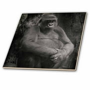 3dRose Black and white picture of a gorilla - Ceramic Tile, 12-inch