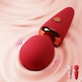 thumbnail image 4 of Birdsexy Mini Vibrator Sex Toys for Women,Female G-Spot Clitoris Stimulator AV Stick Masturbator,Silicone Vibrators Personal Massager,10 Frequency Vibration (Red), 4 of 11