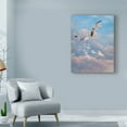 thumbnail image 3 of Trademark Fine Art 'Flying High' Canvas Art by Michael Jackson, 3 of 3
