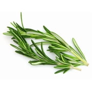US Organic Rosemary Essential Oil, 100% Pure Certified USDA Organic, 10 ml