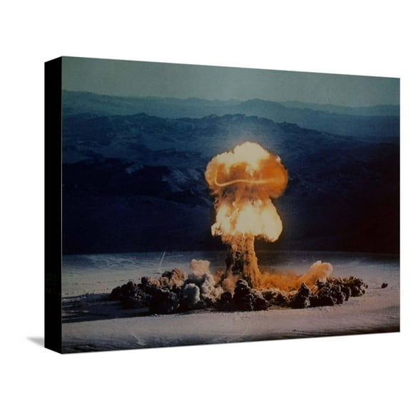 Art.com The Priscilla Shot Stretched Canvas Print Wall Art, 16" x 12"