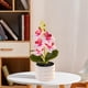thumbnail image 3 of Orquídea bonsái artificial, decoración de escritorio de oficina para bodas, blanco y rosa, 3 of 6