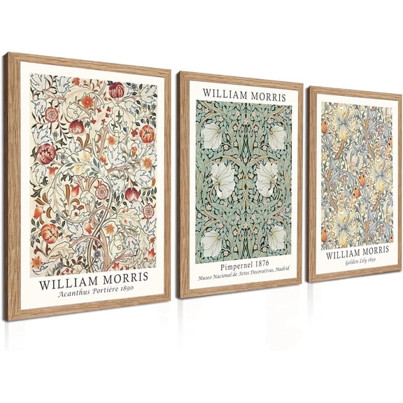 Induslyfe Framed Flower Wall Art Canvas Decor Set of 3, William Morris, Matisse Wall Art Framed Prints Poster Mid Century Modern Art, Gogh Floral Botanical wall art living room bathroom bedroom 12x16