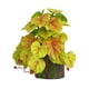 thumbnail image 1 of Planta Verde Simulada de 23 Hojas de Alumbre con Tacto Pegajoso, Flor Artificial, Decoración de Interiores para El Hogar, Accesorios de Pared., 1 of 1