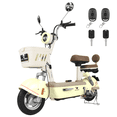 thumbnail image 1 of Motobici Eléctrica Honey Whale U4S Verde, 1 of 6