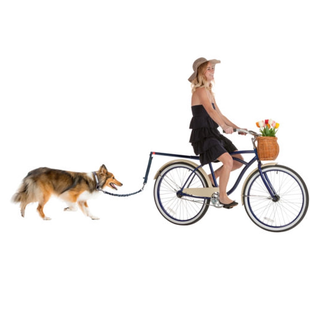 dog bike leash walmart