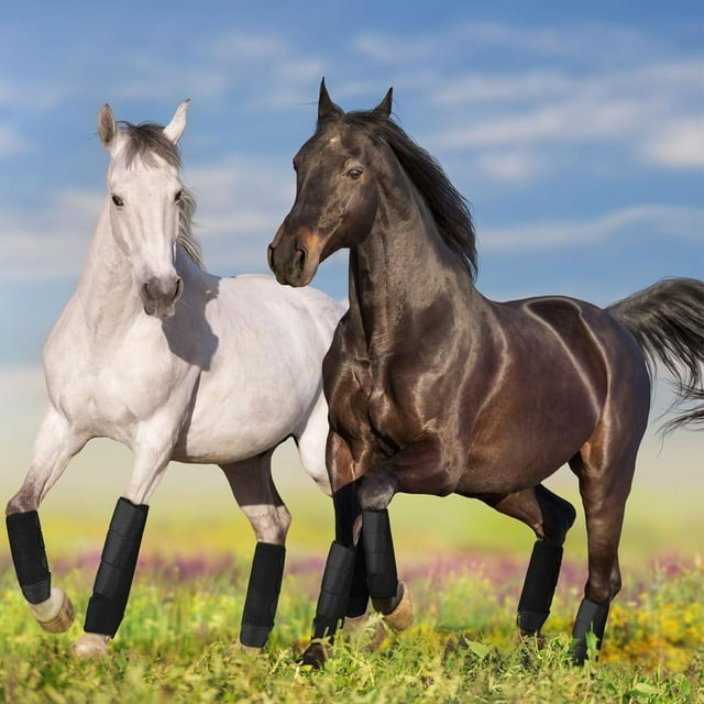 Bottes de Cheval, 1 Paire de Bottes de Tendon de Cheval, Bottes de Protection pour Saut, Randonnée, Ensemble de Bottes de Sport Ajustables et Respirantes pour Absorption des Chocs chez les Chevaux