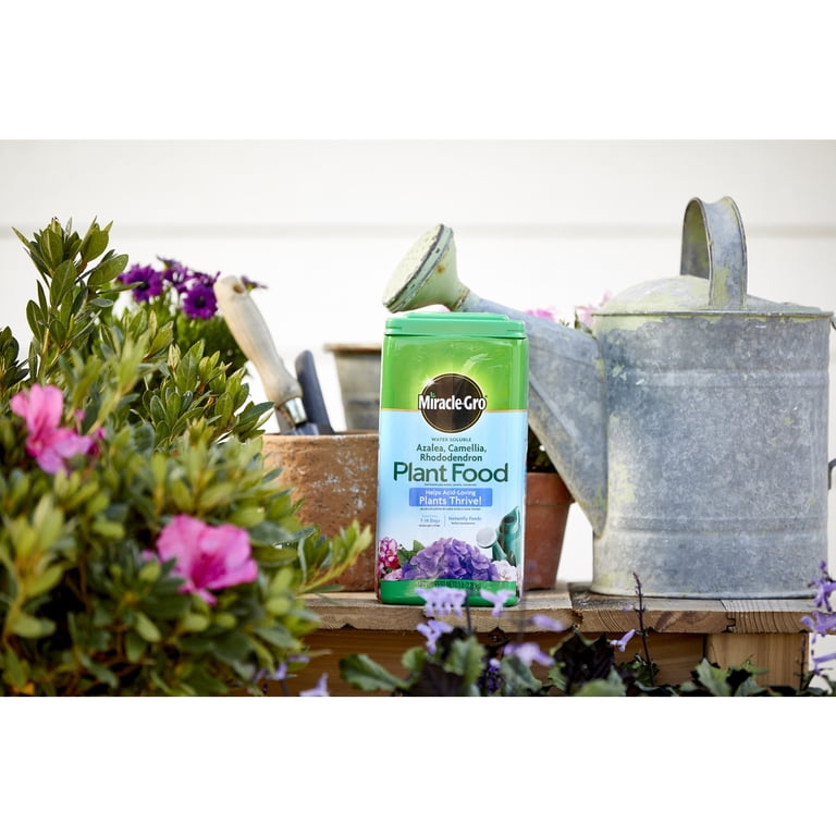 Miracle-Gro Water Soluble Plant Food for Indoor & Outdoor Blooming