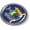Metal Bezel, variant on BestLicensePlateFrames New York State Flag 3D Domed CAR Emblem Round Badge Sticker - Flexible