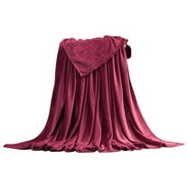 SLYNSHome Super Soft Warm Warm Micro Plush Fleece Blanket Throw Rug Sofa Bedding