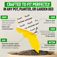 thumbnail image 5 of Fungus Gnat Traps - 60 Pack, Highly Effective Gnat Traps for House Indoor, Yellow Sticky Trap for Plants, Non-Toxic & Nature-Friendly, Up to 3 Months, 5 of 7