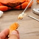 thumbnail image 5 of Juego de 3 uds de acero inoxidable para comer cangrejo, herramientas para cortar mariscos, pinzas para cangrejo, pinza para cangrejo, 11 Feliz Sencillez, 5 of 5