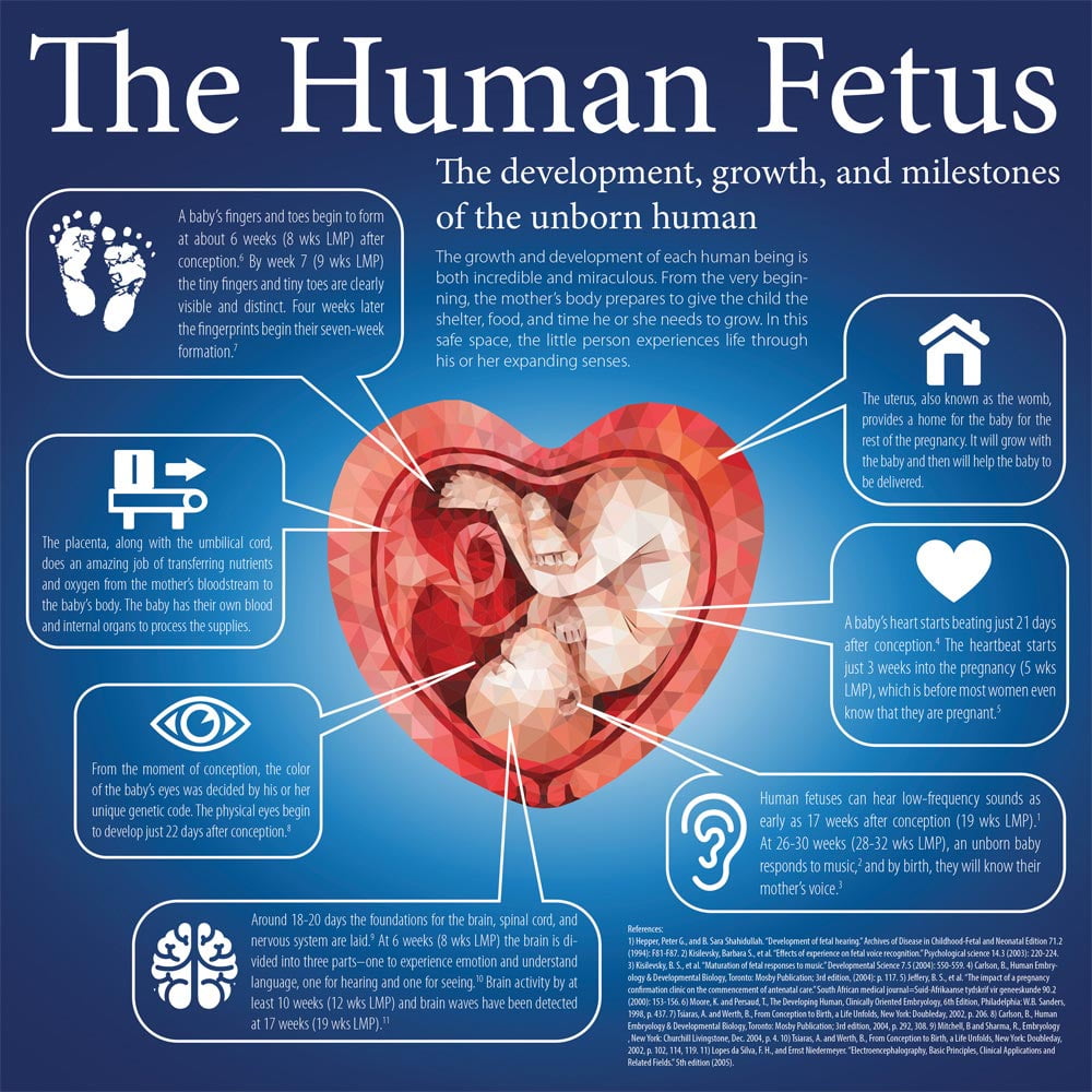 Pregnancy Newborn Week Month Babywise Week Womb Week Newborn