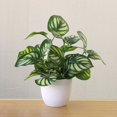 thumbnail image 2 of Mdesiwst Artificial Foliage Plant Potted Bonsai Home Mall Desk Decor, 2 of 5