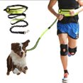 thumbnail image 5 of Billuyoard Correa para perros, suministros para mascotas, cuerda para cachorros, cordón manos libres, tamaño compacto, multicolor, Suministros para perros Amarillo, 5 of 5