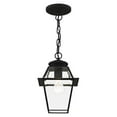 thumbnail image 5 of Livex Lighting Westover 1 Light Outdoor Chain Lant, 5 of 5