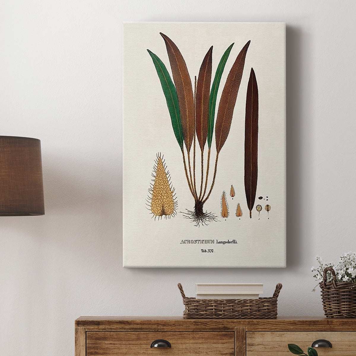 Botanical Society Ferns I Premium Gallery Wrapped Canvas - Ready to Hang