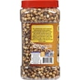 thumbnail image 6 of Rani Roasted Chana (Chickpeas) Plain Flavor 28oz (1.75lbs) 800g PET Jar ~ All Natural | Vegan | No Preservatives | Gluten Friendly | Kosher | Indian Origin | Great Snack, Ready to Eat, 6 of 10