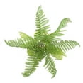 thumbnail image 4 of Mainstays 10" Artificial Plastic Green Alpine Wood Fern Plant Pick, 4 of 5