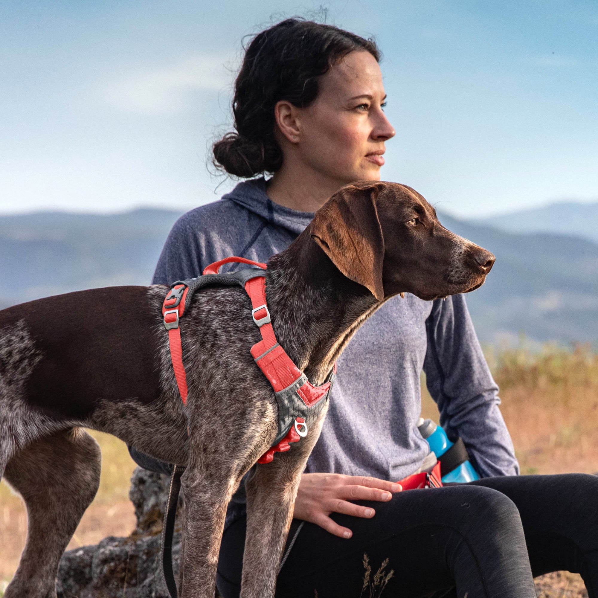 Kurgo Journey Air Dog Harness, Reflective, Padded, No Pull Front Clip and Control Handle, Coral, S
