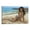 Frame-style, variant on Danielle Herrington Hot Girl Sexy Poster (36) Canvas Art Poster and Wall Art Picture Print Modern Family bedroom Decor Posters 16x24inch(40x60cm)