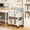 S, variant on Homenest 2-Tier Plastic Rolling Storage Cart with Wheels Multi-Layer Utility Cart Narrow Space Organizer Shelving Unit for Bathroom Kitchen Living Room Bedroom