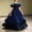 Navy, variant on Girls Maxi Gown Sleeveless Off Shoulder Sequin Cinched A-Line Dress Tween Elegant Fluffy Tulle Layered Evening Dresses Green 13-14 Years