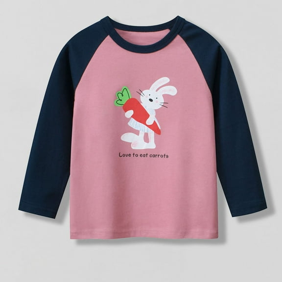Bnwani Long Sleeve Toddler T Shirt Cotton Crew Neck Thin Printed Tops 24 Months