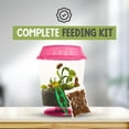 thumbnail image 5 of Live Venus Flytrap Kit with Carnivorous Plant Food & Tweezers in 4.5” Pink Terrarium – Indoor Bug-Eating Plant Gift for Kids & Adults Fly Trap, 5 of 7