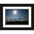 thumbnail image 1 of Melanson, Suzanne 14x11 Black Ornate Wood Framed with Double Matting Museum Art Print Titled - Field Of Light, 1 of 4