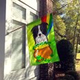 thumbnail image 2 of Carolines Treasures BB1985CHF Border Collie St. Patricks Jour Toile Maison Drapeau, 2 of 4