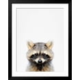 thumbnail image 2 of Raccoon Framed Photographic Print by Tai Prints, 24" x 32", Sold by Art.com, 2 of 5