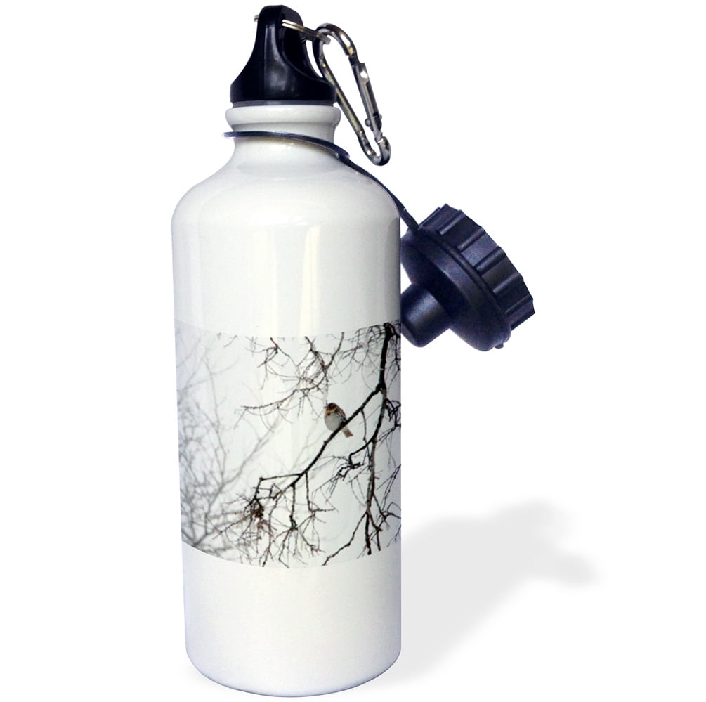 3dRose Sparrow Bird on a Winters Day, Sports Water Bottle, 21oz by Supplier Generic