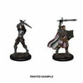 thumbnail image 2 of D&D: Nolzur's Marvelous Miniatures - Male Human Paladin, 2 of 2